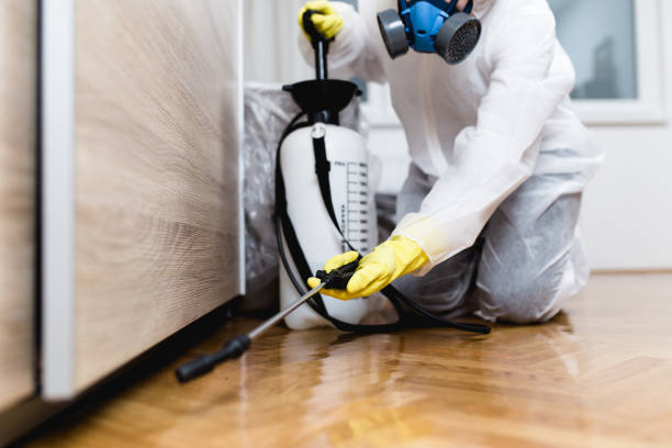 Professional Pest Control in Emmetsburg, IA