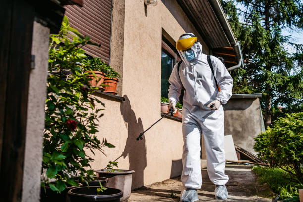 Best Best Pest Control Companies  in Emmetsburg, IA