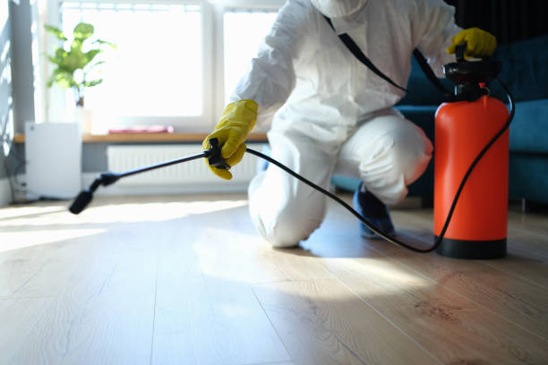 Best Termite Control Services  in Emmetsburg, IA