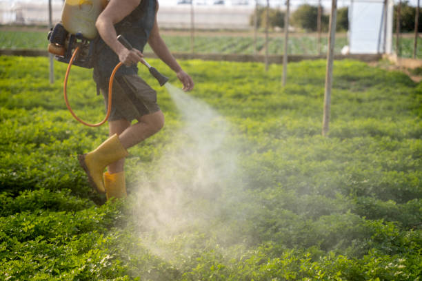 Best Best Pest Control Companies  in Emmetsburg, IA