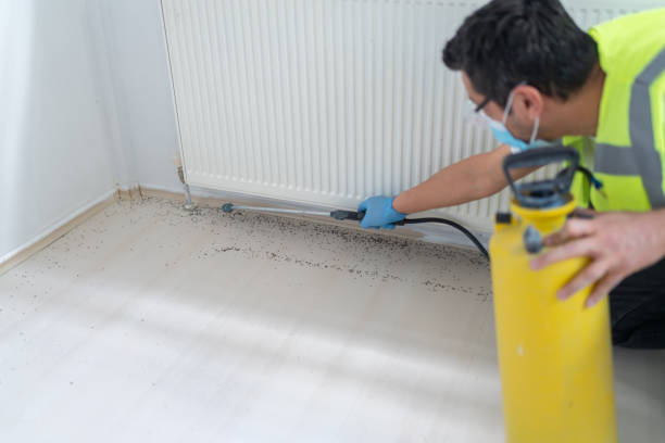 Best Local Pest Control Services  in Emmetsburg, IA
